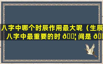 八字中哪个时辰作用最大呢（生辰八字中最重要的时 🐦 间是 🐟 什么）